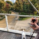 조이애견 | 서울숲 애견동반 맛집 로티서리조이 후기