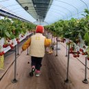 꼭지내농장 이미지