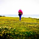 제주 올레길 3코스 A 이미지