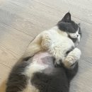 두리동물병원 이미지