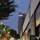 씨유논현베스트 | 서울 가성비 호캉스, 강남 &#39;도미인&#39; 스탠다드 더블 숙박후기