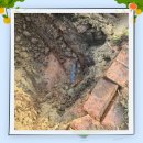 화북동 주민센터 이미지