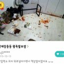 배달의민족 1등 후기 이미지