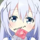 메카레코드 이미지