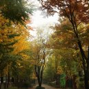 부수지공원 이미지