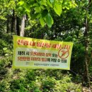 청주산나물