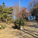 충효입구 삼거리 이미지