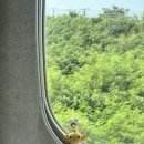 나절로미술관 | 2025 여름 : 가오슝, 타이난