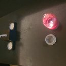 쁘띠미누 노래연습장 이미지