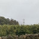 제주 덕수재 이미지