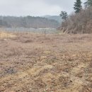 에이스농장 이미지