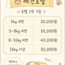부산애견호텔 강아지유치원 맘바이 사하구점 | 애견호텔 맘바이 부산사하구점 부산광역시 애견유치원 다녀왔는데 와.. 정말 좋더라