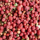 신체의 열매 이미지