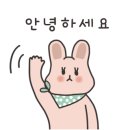 베베캣 이미지