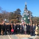 (주)미라클트리 이미지