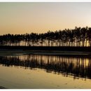 운여해변 이미지