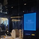 비비웰니스 | 대구PT 추천! 비비웰니스 Private PT에서의 운동 후기