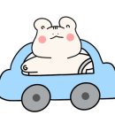 아스쿰 이미지