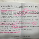 정우식소아청소년과의원 이미지