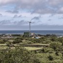 스테이 아담 이미지