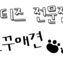 도꾸애견 이미지