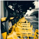 비젼전자 이미지