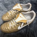 명성운동화세탁 | 370057-711 나이키 티엠포 네추럴TF 가우초-호나우지뉴 시그니처