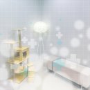 진북동물병원 이미지