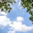 청산힐링샘 이미지