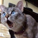 남대문안경 이미지