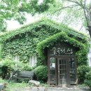 청춘-숲속의 섬,  이미지