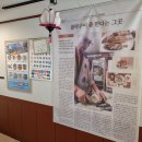 미락뽈락 이미지