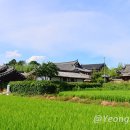 화대리 성강서사 티스토리