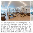 와이앤피 이미지