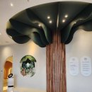 아이빛나어린이치과의원 이미지