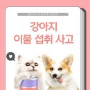 진영동물병원 이미지