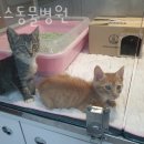 로고스 동물병원 이미지