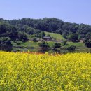 금강행정사사무소 이미지