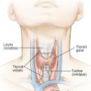 에코한의원 이미지