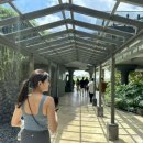 톡스미의원 이미지