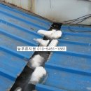 늘푸른주유소 이미지