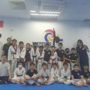 우석대 수 태권도 이미지