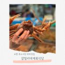 박달시장 | 포항 죽도시장 대게 맛집 갈릴리대게회식당 국산 박달대게 코스 후기