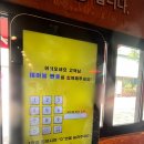 [분당/야탑] 분당 야탑 맛집 짱가네 내돈내산 후기 (돈가스와 냉면)