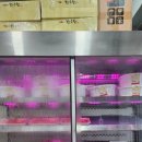 백운식육점
