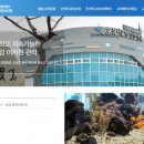 토속어류산업화센터 CBN뉴스