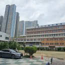 대구서동초등학교 네이버블로그