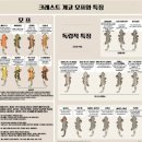 디어렙