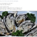 석화 이미지