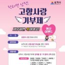 행운이벤트 이미지